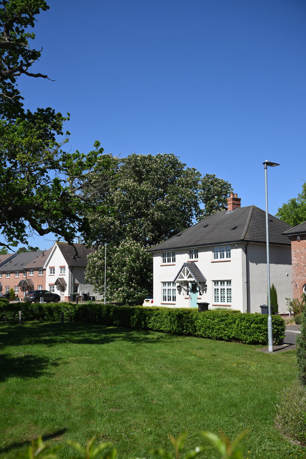 Redrow Homes Eastern development framed by mature trees, photographed by Jon Wagstaff